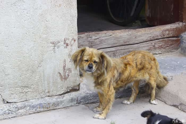 赤峰市艾家大院訂餐電話號碼-第1張圖片