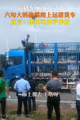 赤峰畜牧業(yè)保險(xiǎn)電話號(hào)碼是多少-第1張圖片