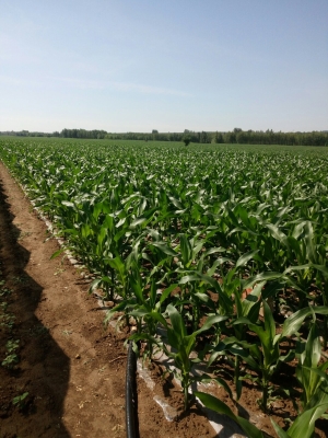 赤峰市南山公墓電話號(hào)碼查詢-第1張圖片