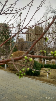 赤峰市巴林左旗電話區(qū)號是多少-第1張圖片