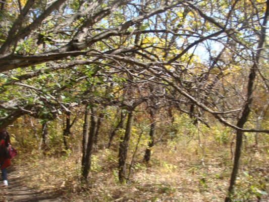 赤峰市林業(yè)局舉報電話-第1張圖片