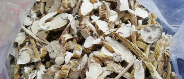 赤峰防風藥材種植基地電話號碼-第1張圖片