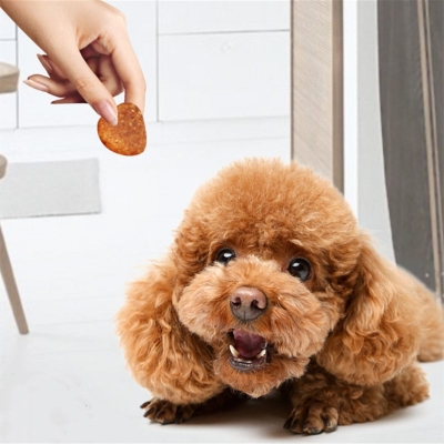 赤峰加工狗糧電話號(hào)碼查詢地址-第1張圖片