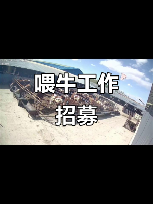 赤峰水果店招聘電話是多少號-第1張圖片