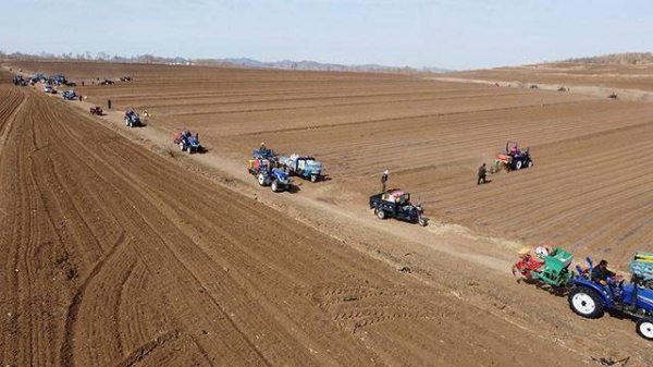 赤峰林西木頭廠電話多少號(hào)-第1張圖片