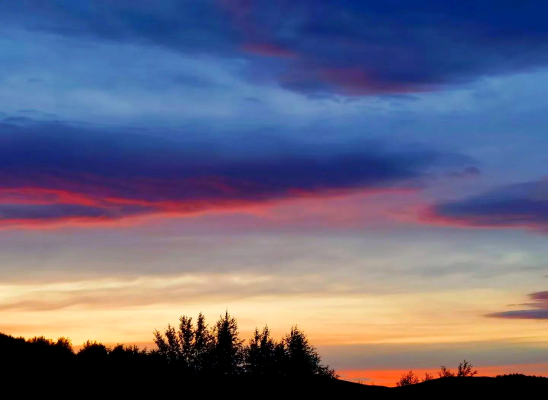 赤峰安卿民宿電話號(hào)碼多少-第1張圖片