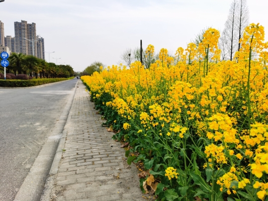 赤峰新城干鍋店電話多少號-第1張圖片