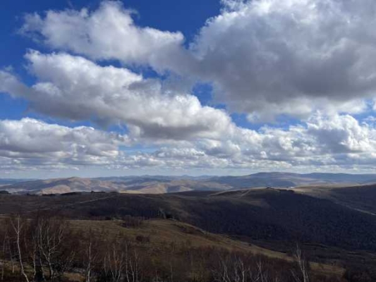 赤峰四中李主任簡介電話號碼-第1張圖片