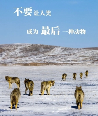 赤峰野生動物保護(hù)站電話號碼-第1張圖片