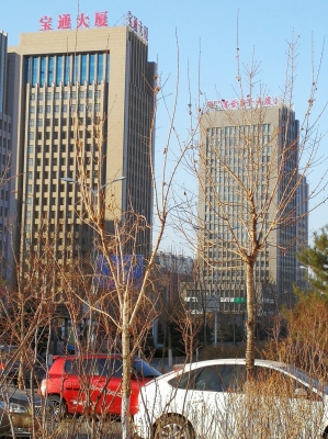 赤峰市老府鎮(zhèn)政府電話號(hào)碼-第1張圖片