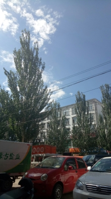 赤峰市敖漢旗計(jì)生辦電話號(hào)碼-第1張圖片