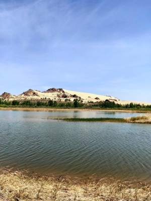 赤峰金王子經(jīng)銷商電話地址查詢-第1張圖片