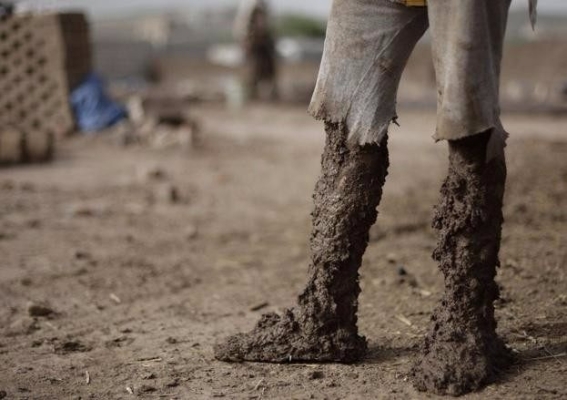 赤峰純泥磚廠電話號(hào)碼多少號(hào)-第1張圖片
