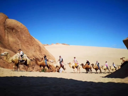 赤峰市大宇山莊電話號(hào)碼查詢-第1張圖片