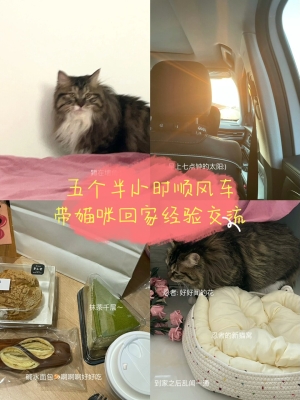 赤峰回家順風(fēng)車電話多少號(hào)-第1張圖片