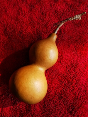 赤峰福祿克店電話(huà)號(hào)碼查詢(xún)-第1張圖片