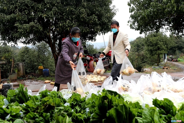 赤峰愛(ài)心蔬菜批發(fā)電話(huà)號(hào)碼查詢(xún)-第1張圖片