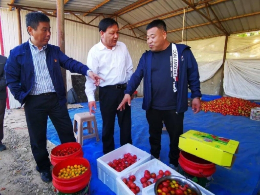 烏敦套海到赤峰客車電話號碼-第1張圖片