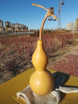 赤峰市玉龍垂釣園地址電話號碼-第1張圖片