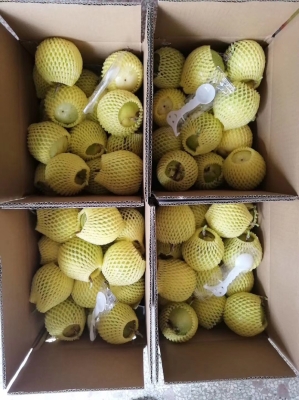 赤峰直播帶貨水果店電話號碼-第1張圖片