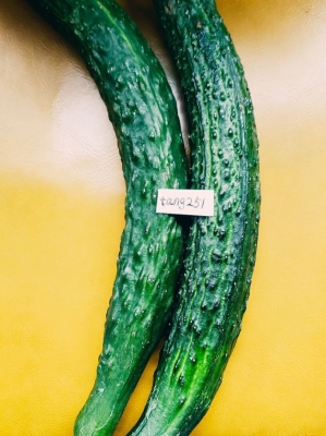 赤峰市區(qū)蔬菜包裝廠電話號碼-第1張圖片