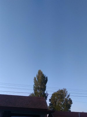 赤峰寧城縣愛心捐贈電話號碼-第1張圖片