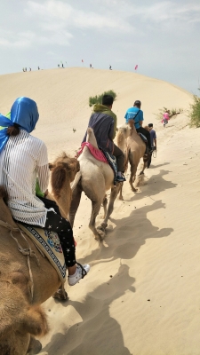 赤峰烏丹餡餅店電話多少號(hào)-第1張圖片