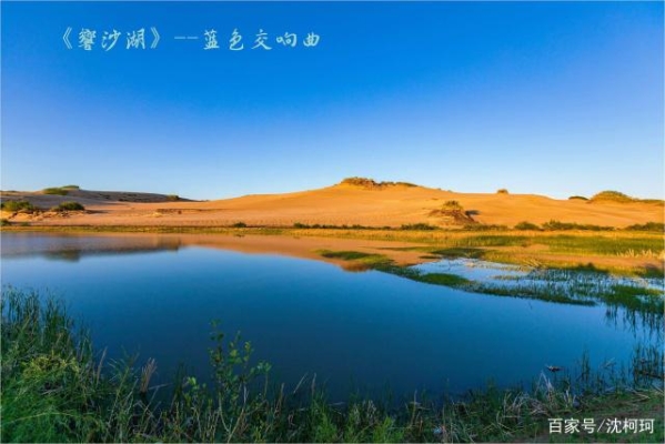 赤峰烏丹胡蘿卜基地電話號碼-第1張圖片