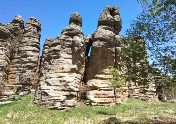 赤峰阿旗禁牧舉報電話是多少-第1張圖片