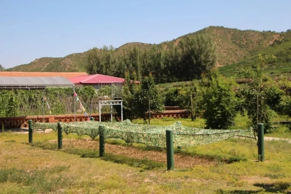 赤峰林家酒坊電話號碼多少號-第1張圖片