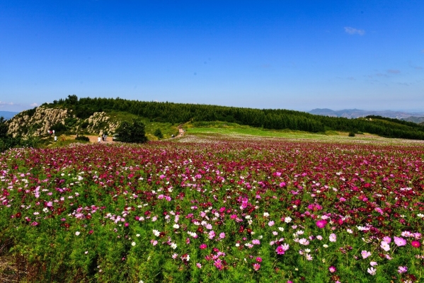 赤峰花海雪園滑雪場(chǎng)電話號(hào)碼-第1張圖片