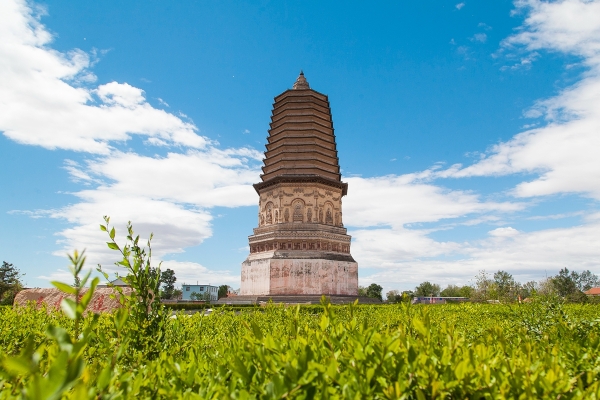 赤峰市大明煙酒店地址電話號(hào)碼-第1張圖片