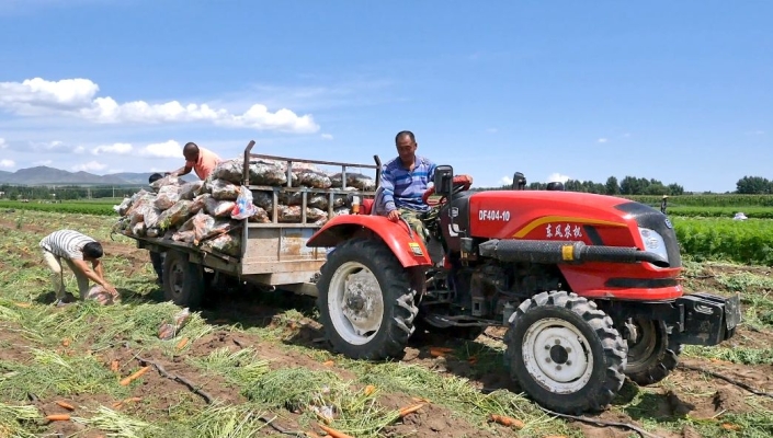 赤峰松山區(qū)勞務(wù)市場電話號碼-第1張圖片