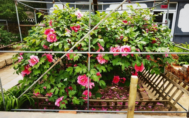 赤峰御研堂聯(lián)系人電話號碼-第1張圖片