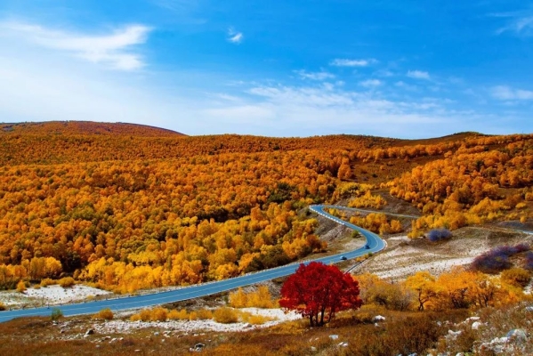 赤峰騾馬市場電話地址是多少號-第1張圖片