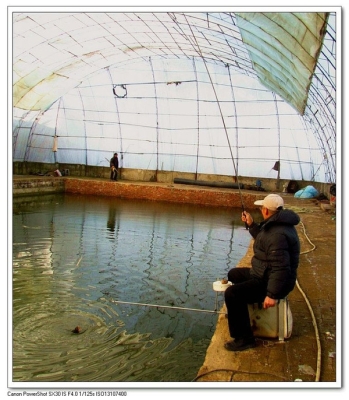 赤峰冰釣大棚出租電話號(hào)碼是多少-第1張圖片