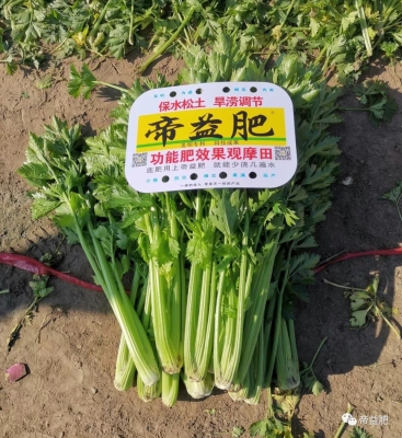 赤峰硅棒收購廠家電話地址查詢-第1張圖片