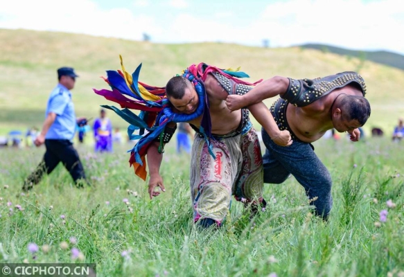 赤峰奈吉服裝店地址電話號(hào)碼-第1張圖片