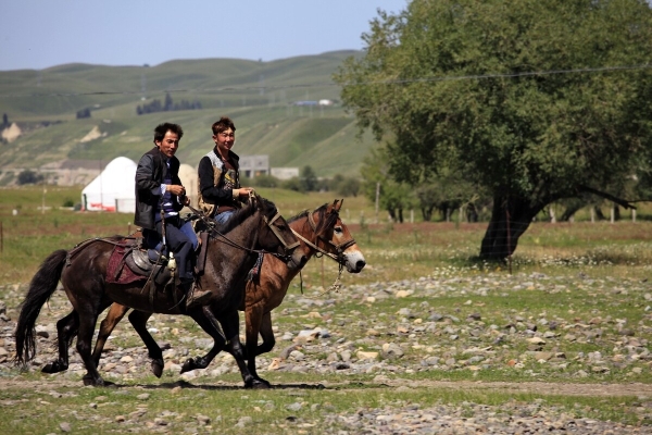 赤峰牧馬人牧場(chǎng)地址電話號(hào)碼-第1張圖片