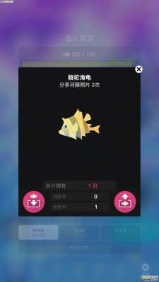 赤峰魚中魚水族館電話地址-第1張圖片