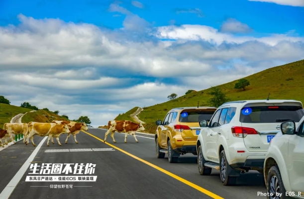 赤峰阿郎車隊(duì)電話號碼多少號-第1張圖片