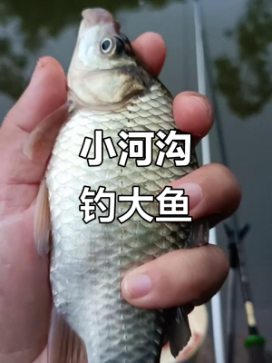 赤峰市小河溝釣魚地點(diǎn)電話號(hào)碼-第1張圖片