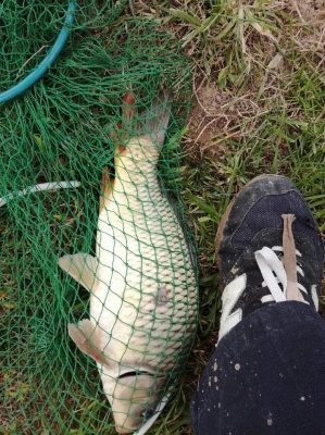 赤峰壩下漁村電話號(hào)碼查詢是多少-第1張圖片