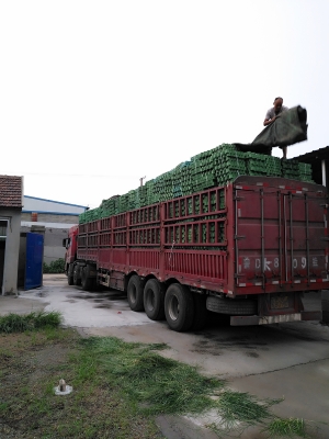 赤峰市混凝土澆筑廠家電話號碼-第1張圖片