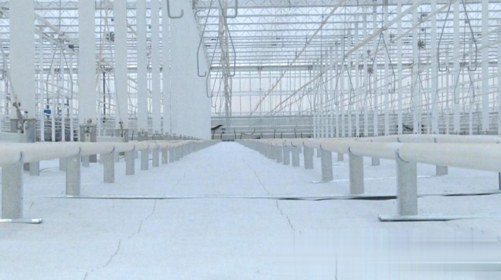 赤峰大棚種植基地-第1張圖片