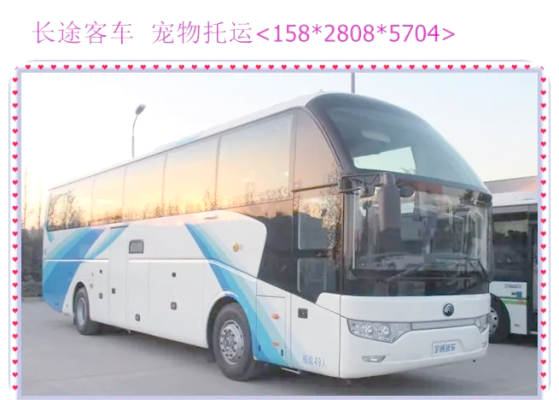 赤峰到銀川大巴車電話號(hào)碼是多少-第1張圖片