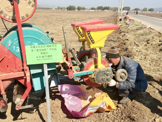 赤峰收玉米粒電話(huà)號(hào)碼是多少-第1張圖片