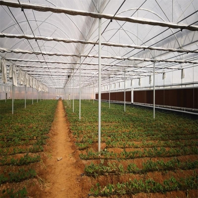 赤峰棚膜顆粒廠家電話號碼-第1張圖片