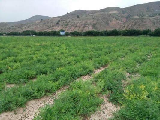 赤峰松山區(qū)財(cái)政局電話號(hào)碼-第1張圖片