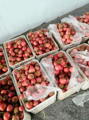 赤峰鐵皮加工廠電話號碼多少-第1張圖片